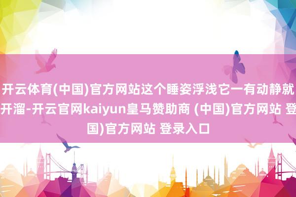 开云体育(中国)官方网站这个睡姿浮浅它一有动静就能坐窝开溜-开云官网kaiyun皇马赞助商 (中国)官方网站 登录入口