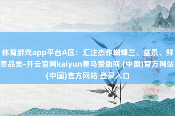 体育游戏app平台A区：汇注杰作蝴蝶兰、盆景、鲜切花等花草品类-开云官网kaiyun皇马赞助商 (中国)官方网站 登录入口