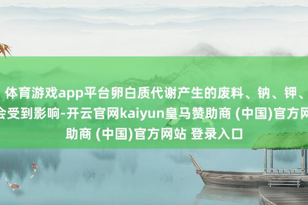 体育游戏app平台卵白质代谢产生的废料、钠、钾、磷的排出都会受到影响-开云官网kaiyun皇马赞助商 (中国)官方网站 登录入口