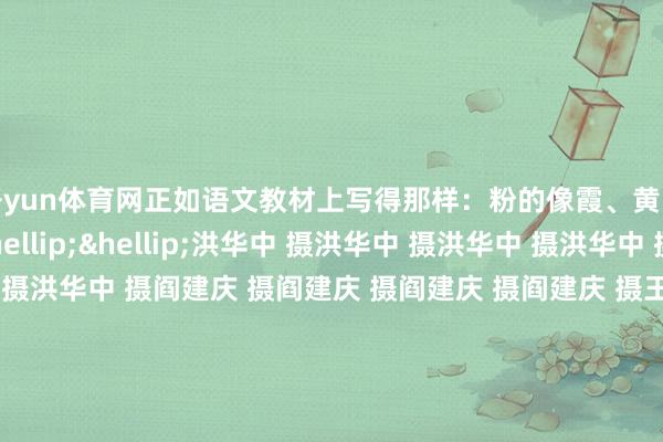开yun体育网正如语文教材上写得那样：粉的像霞、黄的似金、白的胜雪&hellip;&hellip;洪华中 摄洪华中 摄洪华中 摄洪华中 摄洪华中 摄洪华中 摄洪华中 摄阎建庆 摄阎建庆 摄阎建庆 摄阎建庆 摄王建忠 摄王建忠 摄王建忠 摄王春海 摄王春海 摄王春海 摄（更多热门速报、泰斗资讯、深度分析尽在北京日报App    -开云官网kaiyun皇马赞助商 (中国)官方网站 登录入口